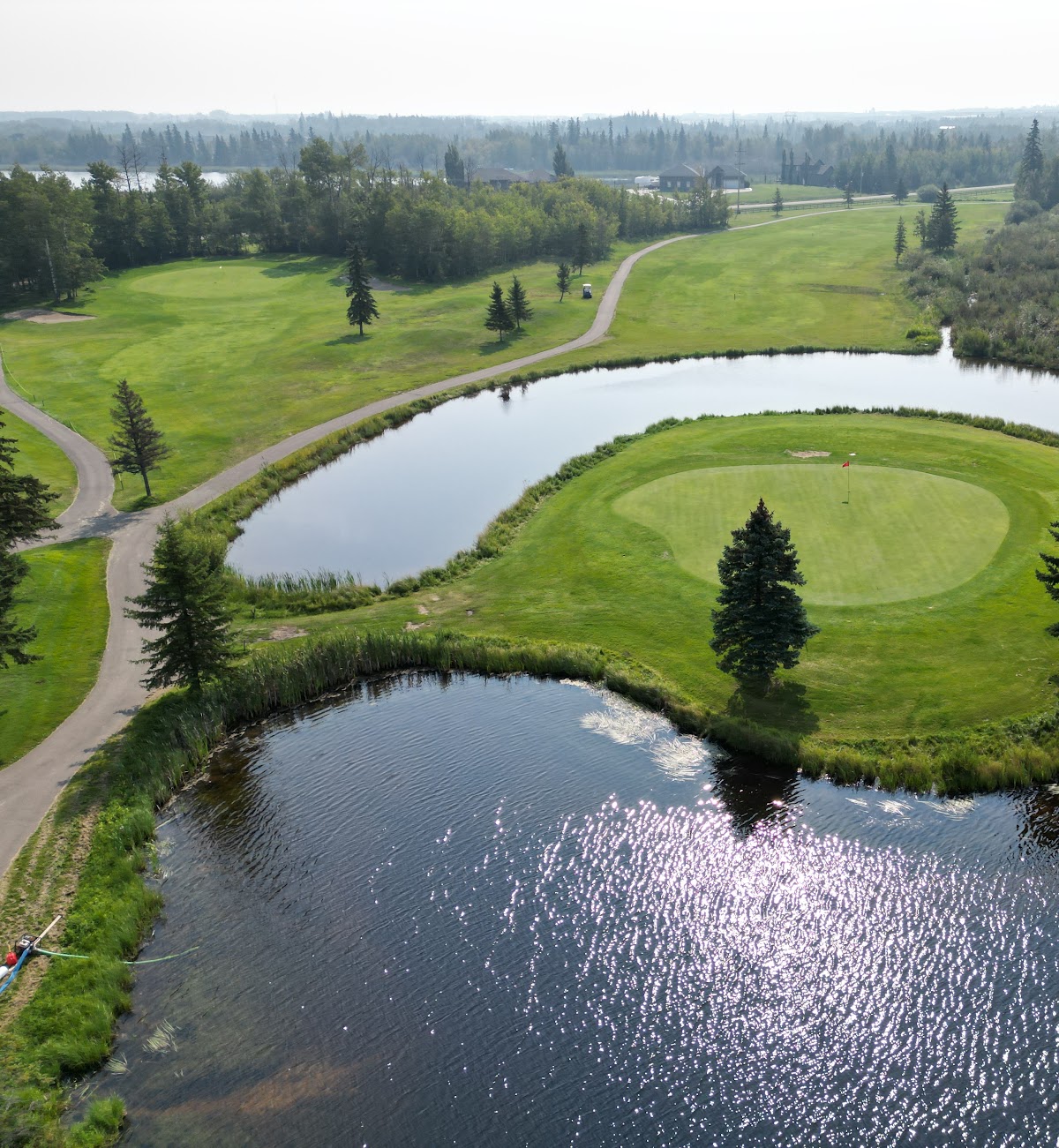 Island green at Edmonton Springs Golf Course